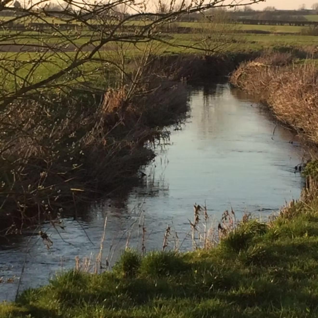 Semington-Brook-from-Pantry-Bridge